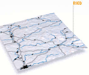 3d view of Ried