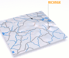 3d view of Miconge