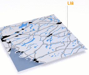 3d view of Lia