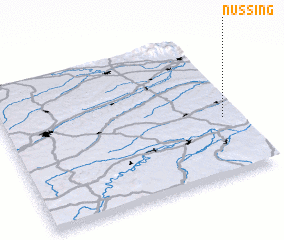 3d view of Nussing