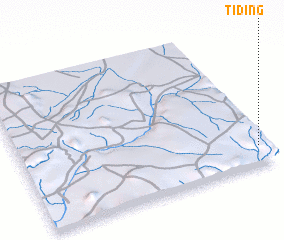 3d view of Tiding