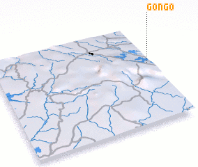 3d view of Gongo