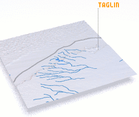 3d view of Taglin