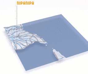 3d view of Nipanipa