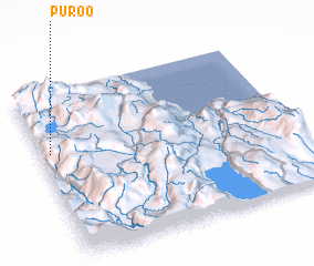 3d view of Puroo