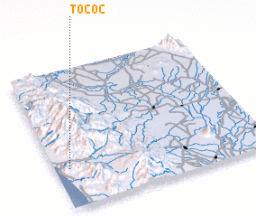 3d view of Tococ