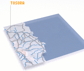 3d view of Tosora