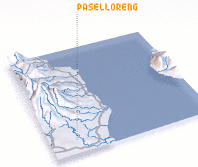 3d view of Paselloreng