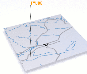 3d view of Tyube