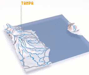 3d view of Tampa