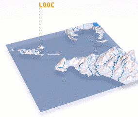 3d view of Looc