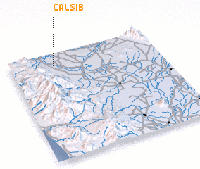 3d view of Calsib