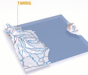 3d view of Taming