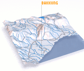 3d view of Bakkung
