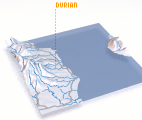 3d view of Durian