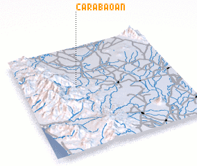 3d view of Carabaoan