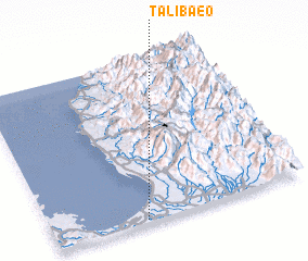 3d view of Talibaeo