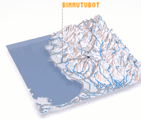 3d view of Bimmutubot