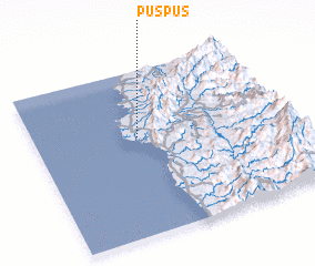 3d view of Puspus