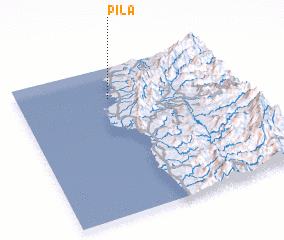 3d view of Pila