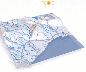 3d view of Tokke