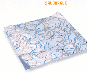 3d view of Salomague