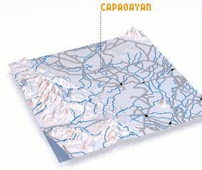 3d view of Capaoayan