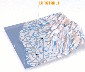 3d view of Lung-t\