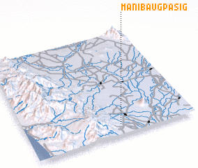 3d view of Manibaug Pasig