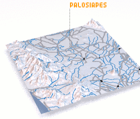 3d view of Palosiapes