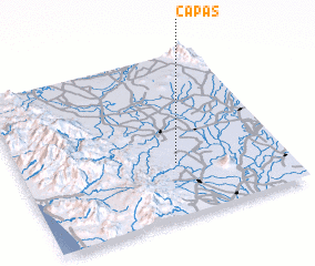 3d view of Capas