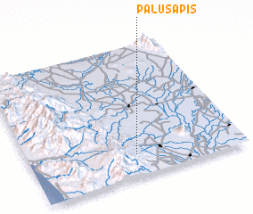 3d view of Palusapis