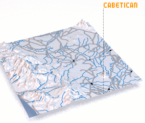 3d view of Cabetican