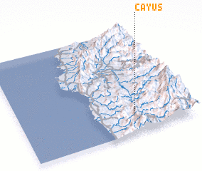 3d view of Cayus