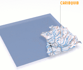 3d view of Caribquib