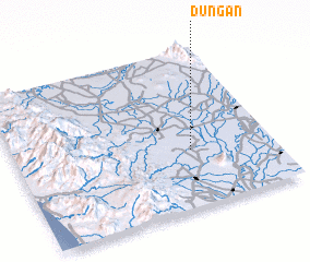 3d view of Dungan