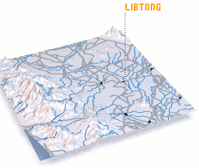 3d view of Libtong