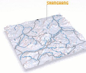 3d view of Shangwang