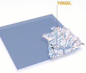 3d view of Tungel
