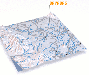 3d view of Bayabas