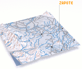 3d view of Zapote