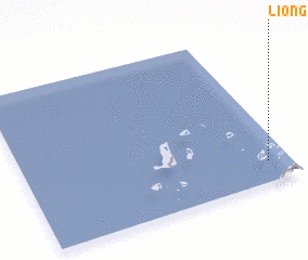3d view of Liong