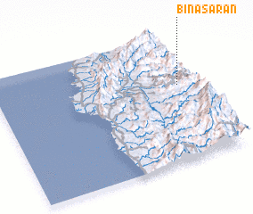 3d view of Binasaran