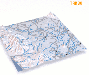 3d view of Tambo