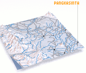 3d view of Pangkasinta