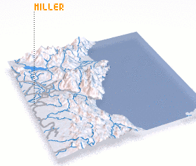 3d view of Miller