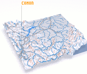 3d view of Comon