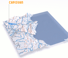 3d view of Capisuan