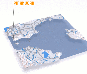 3d view of Pinamucan