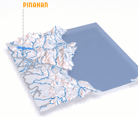 3d view of Pinahan